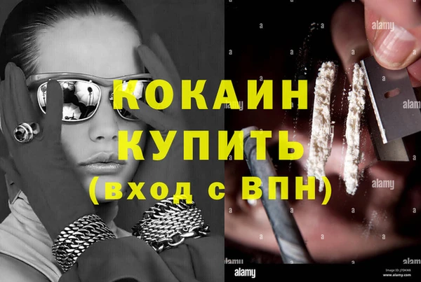 mix Богородицк